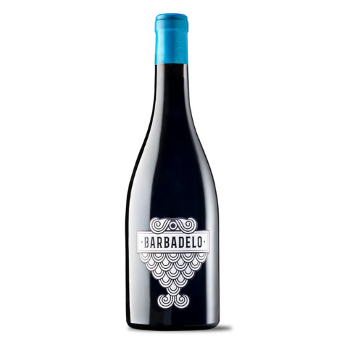 Barbadelo Mencia 750ML | Thirst Beverage Marketplace