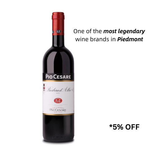 Pio Cesare Barbera d' Alba 750ML | Thirst Beverage Marketplace