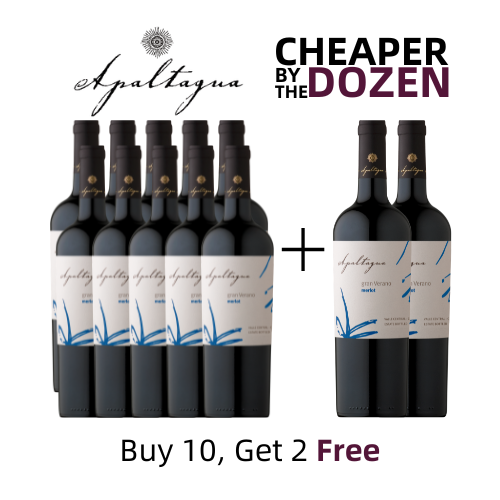 Viña Apaltagua Gran Verano Merlot 750ML 12 Pack | Thirst Beverage Marketplace